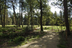 Natuurbegraafplaats Christinalust